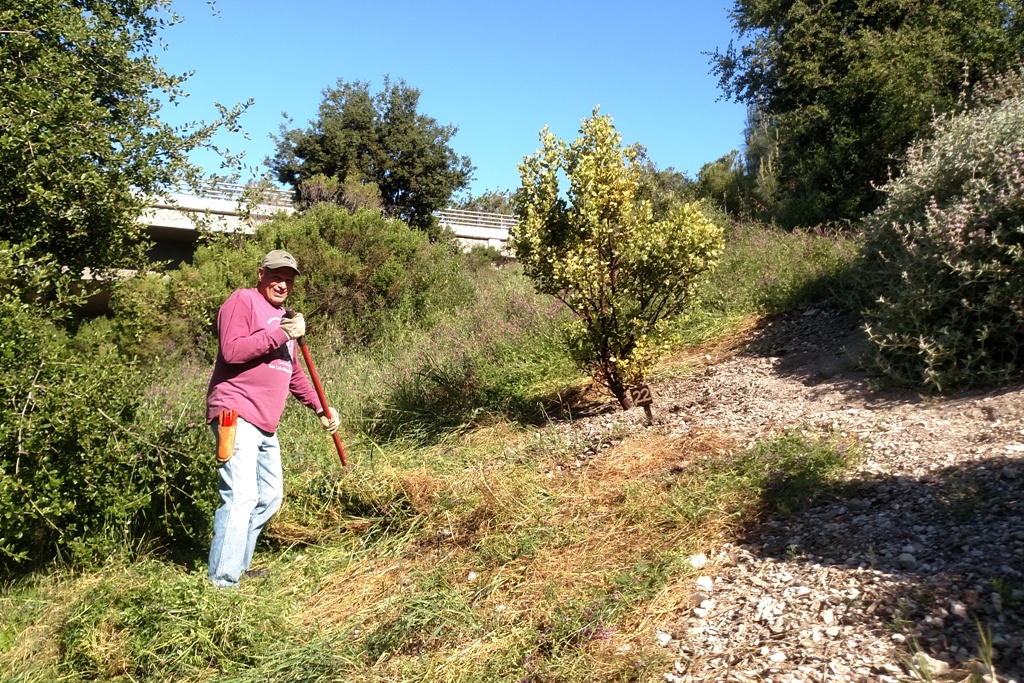 Jim removing weeds.